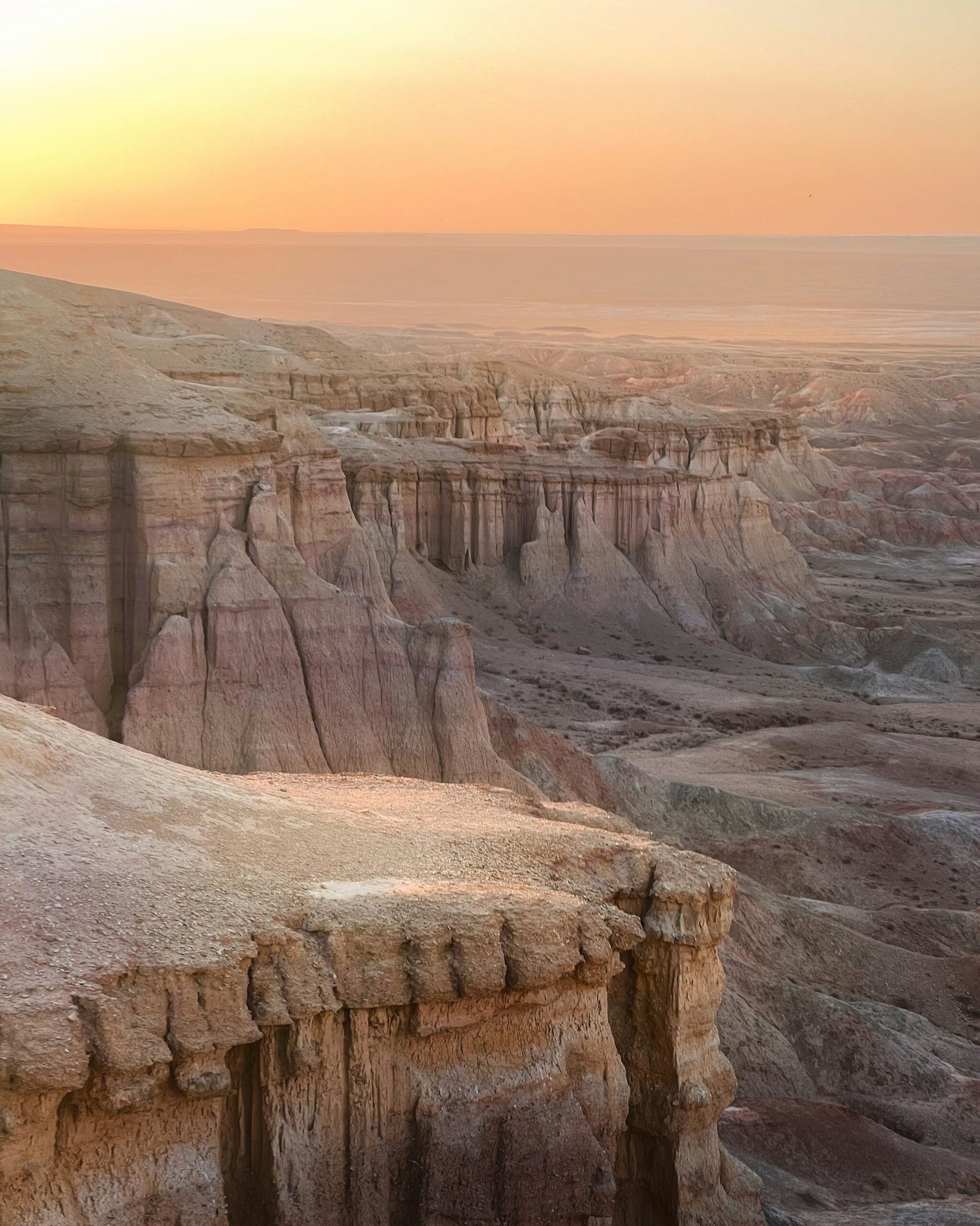 Read more about the article Gobi desert | 12 days ​