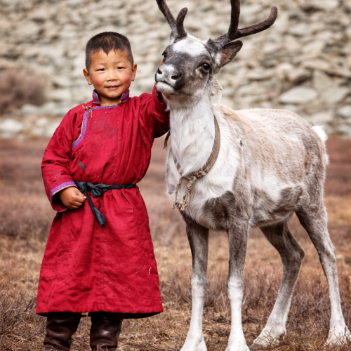 The blue pearl & reindeer family | 15 days tour